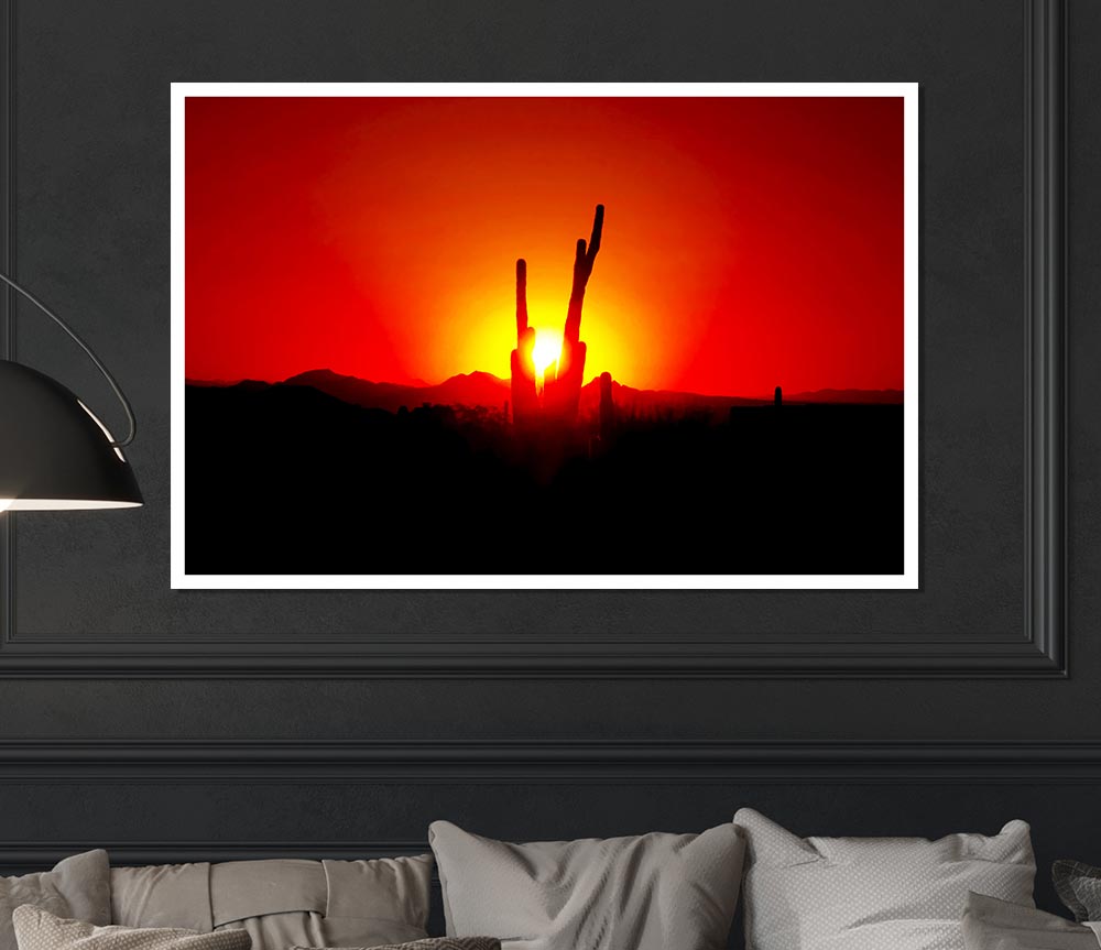 Cactus In Sunlight Print Poster Wall Art