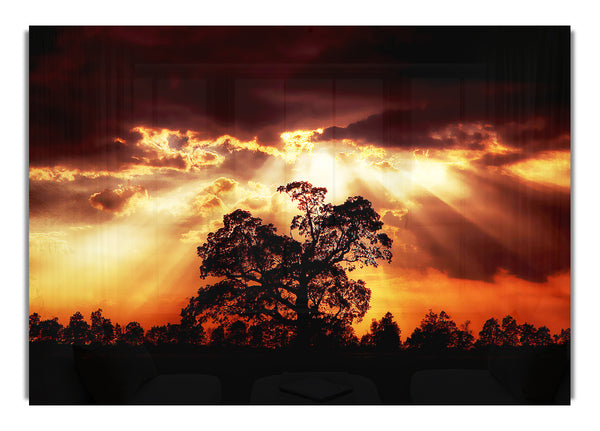 Stunning Cloud Sunrays Over The Morning Tree