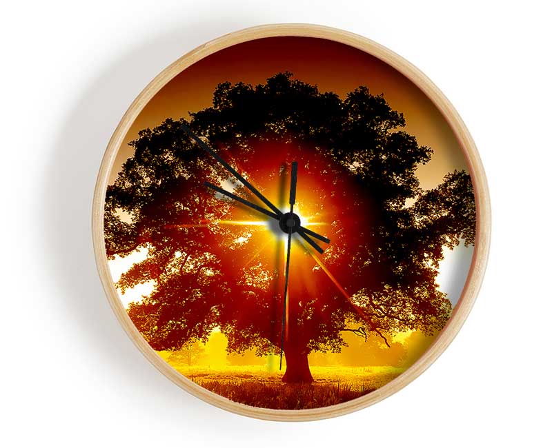 Sun Through The Tree Clock - Wallart-Direct UK