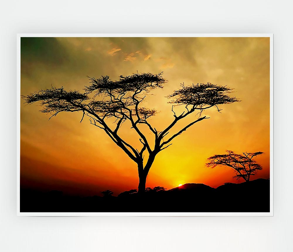 Arcania Tree Sunblaze Print Poster Wall Art