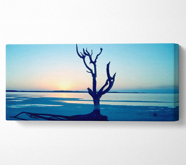 Blue Ocean Driftwood