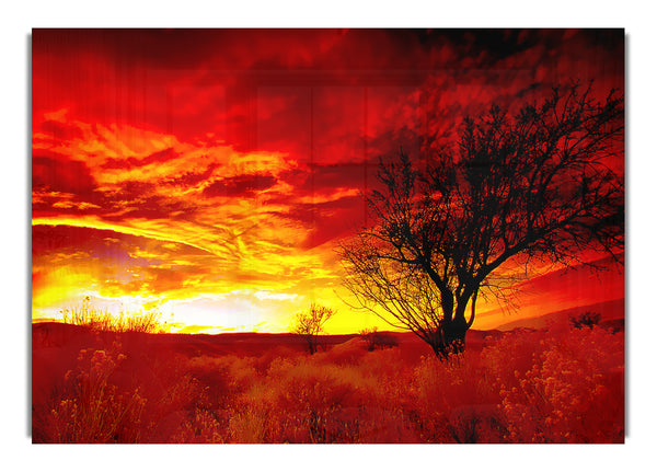 Red Yorkshire Dales Sunrise