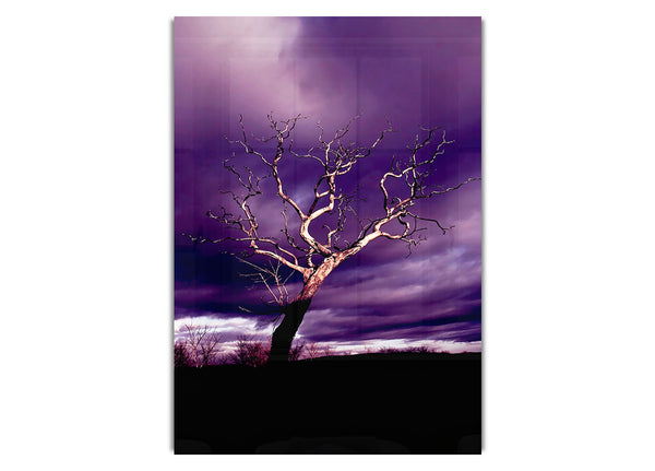 Stunning Purple Night Tree