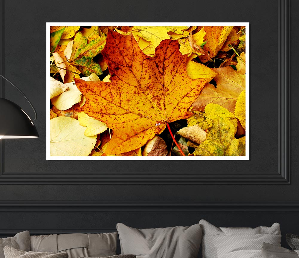 Autumn Leaves On The Ground Print Poster Wall Art