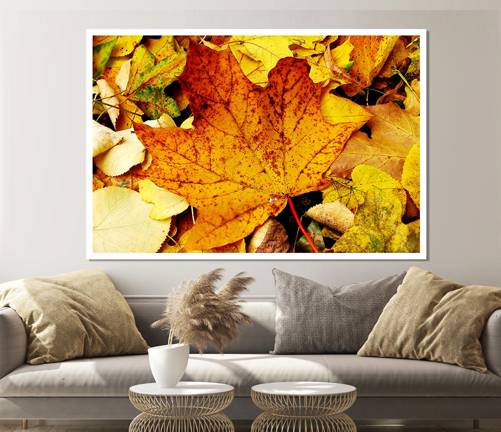 Autumn Leaves On The Ground Print Poster Wall Art