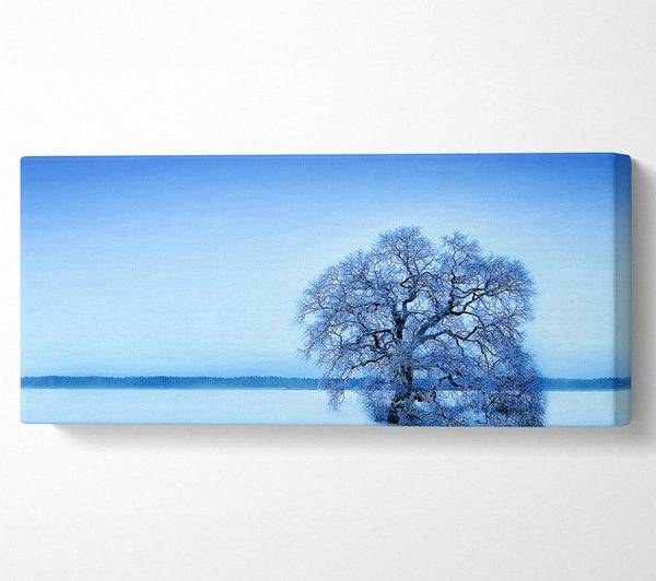 Blue Winter Tree