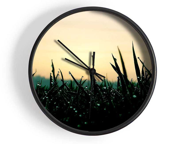 Green Dew Grass In The Morning Light Clock - Wallart-Direct UK