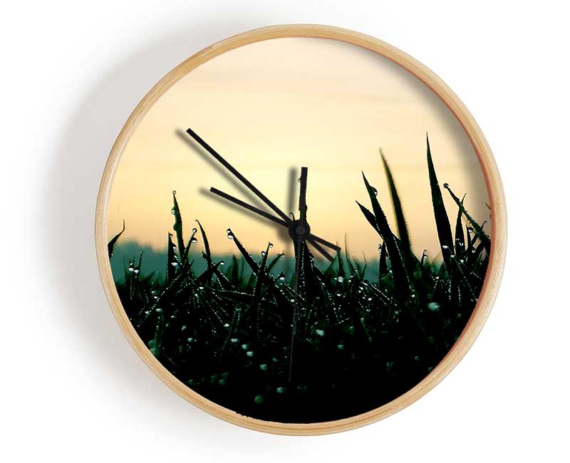 Green Dew Grass In The Morning Light Clock - Wallart-Direct UK