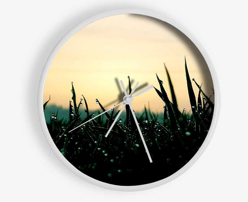 Green Dew Grass In The Morning Light Clock - Wallart-Direct UK