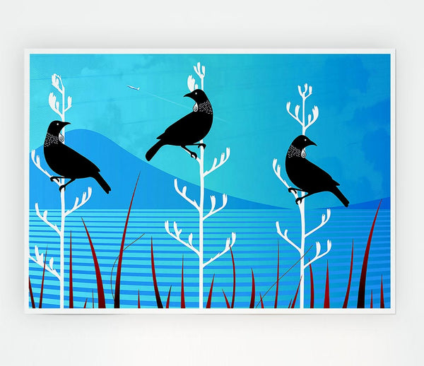 Tui Birds Print Poster Wall Art