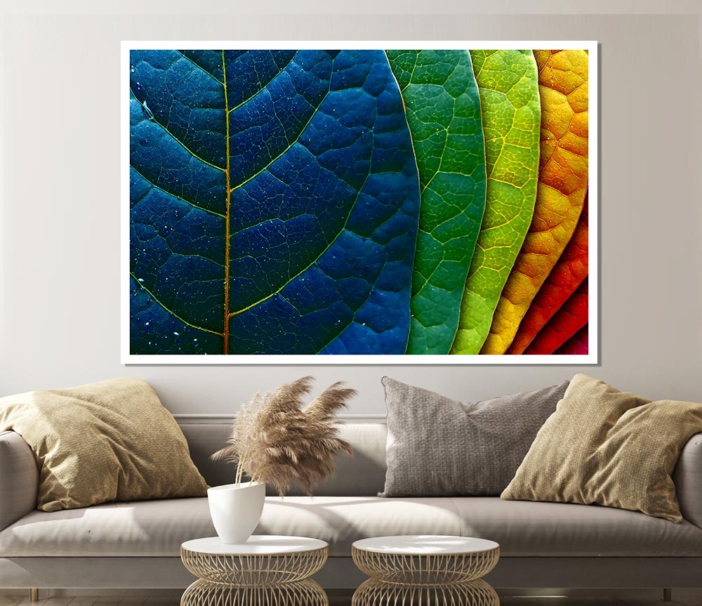 Colourful Leaves Print Poster Wall Art