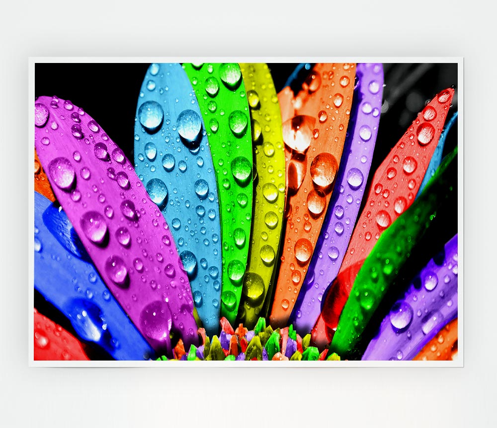 Colourful Flower Print Poster Wall Art