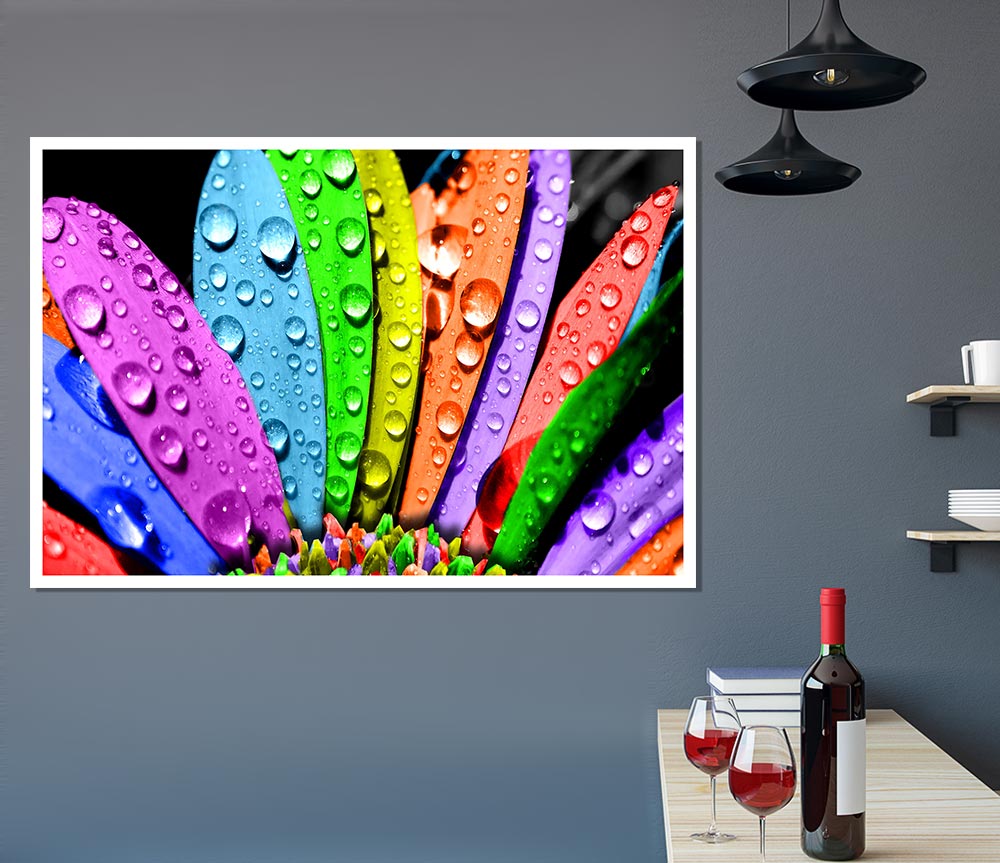 Colourful Flower Print Poster Wall Art