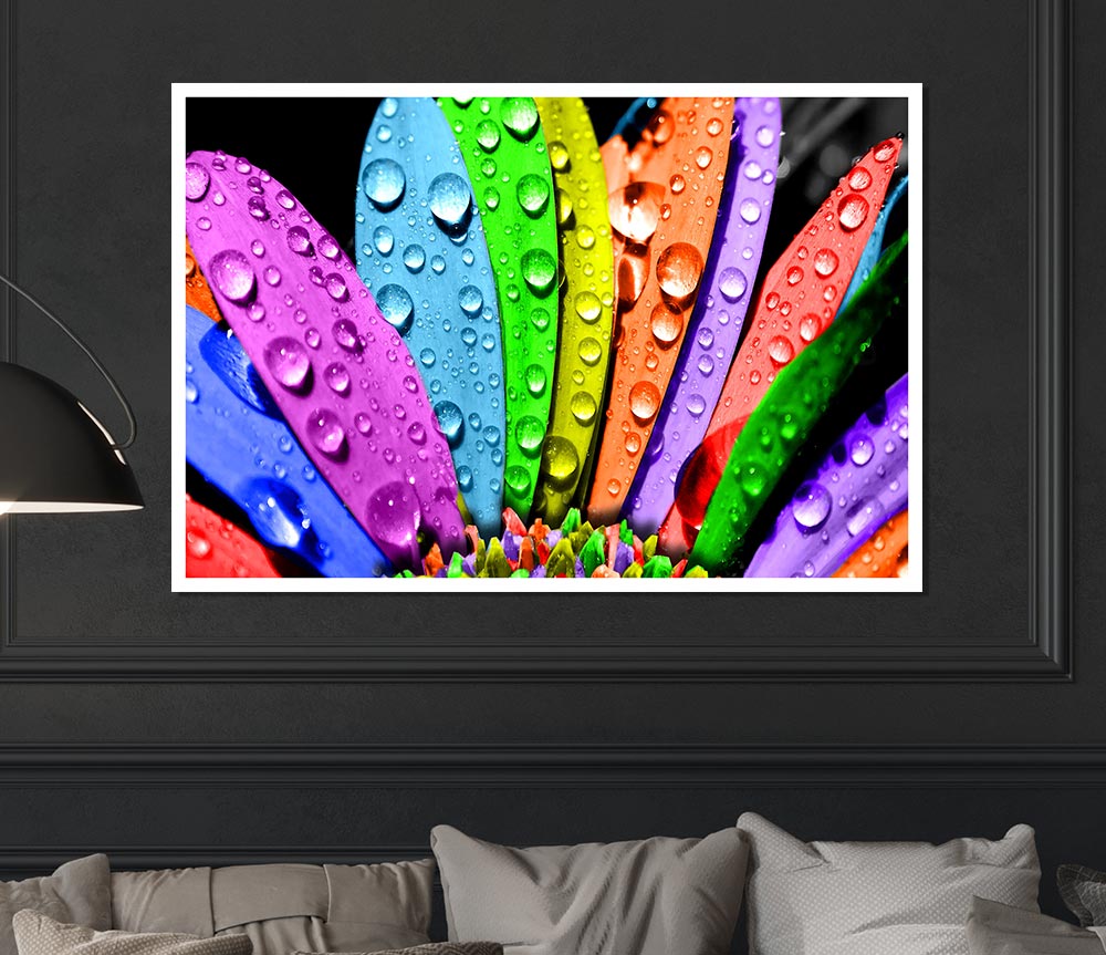 Colourful Flower Print Poster Wall Art