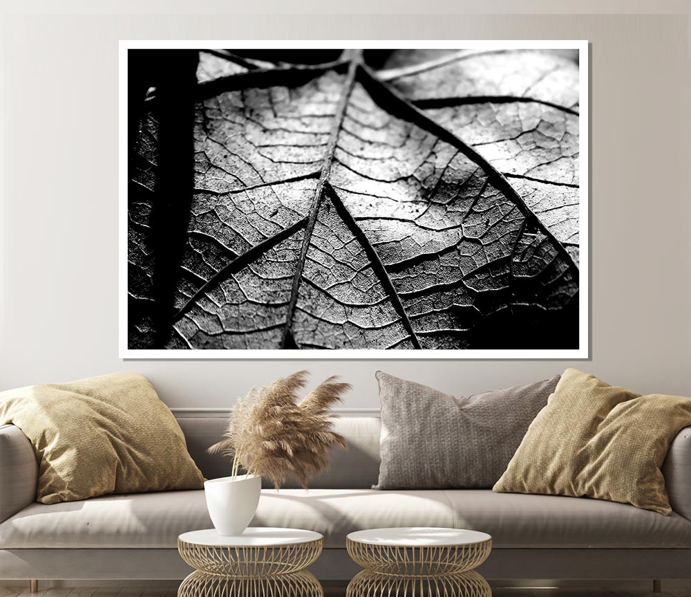 Dry Leaf Black And White Print Poster Wall Art