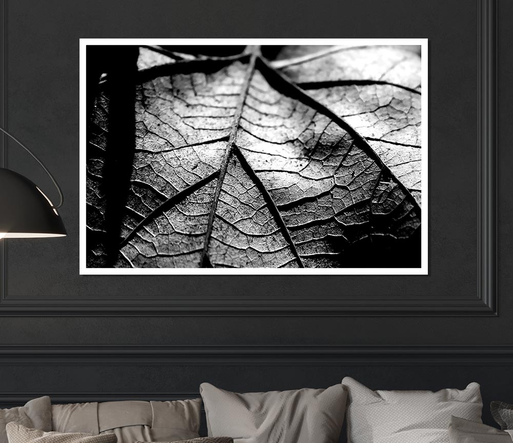 Dry Leaf Black And White Print Poster Wall Art