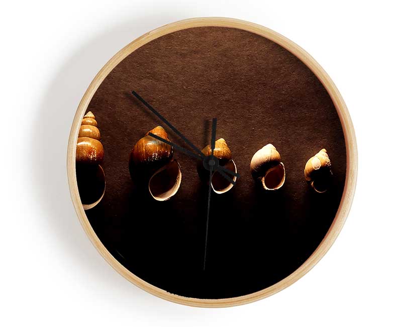 Snail Shells Clock - Wallart-Direct UK