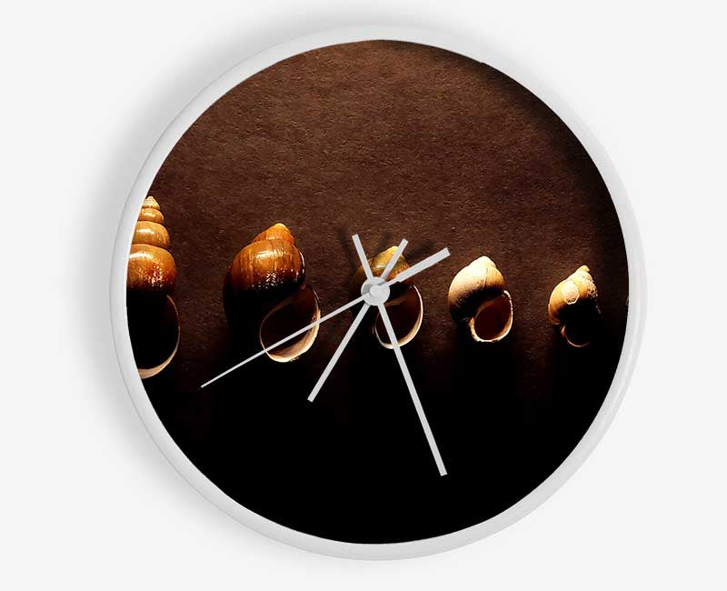 Snail Shells Clock - Wallart-Direct UK