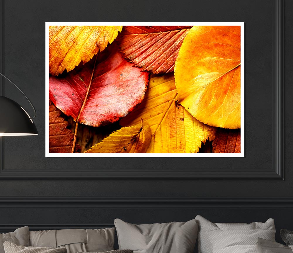 Beautiful Autumn Leaves Print Poster Wall Art