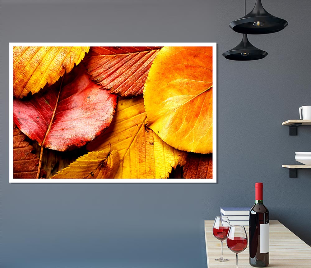 Beautiful Autumn Leaves Print Poster Wall Art