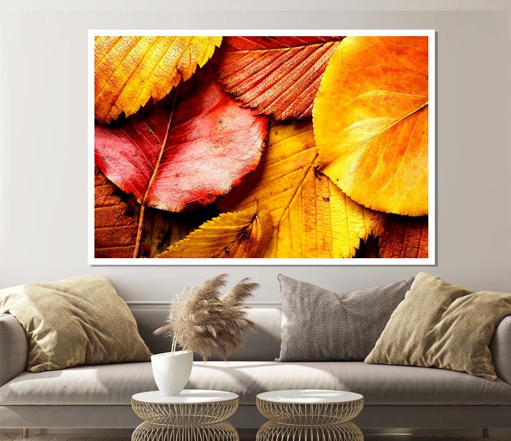 Beautiful Autumn Leaves Print Poster Wall Art