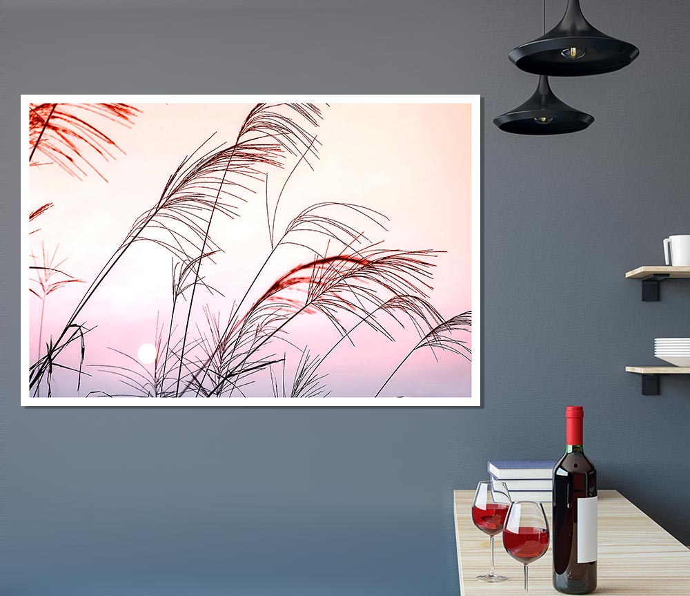 Grass Sunset Print Poster Wall Art