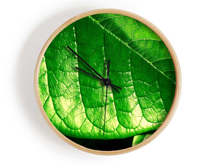 Veins Of A Leaf Clock - Wallart-Direct UK