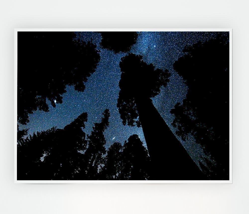 Andromeda And The Milky Way Above The Oregon Print Poster Wall Art