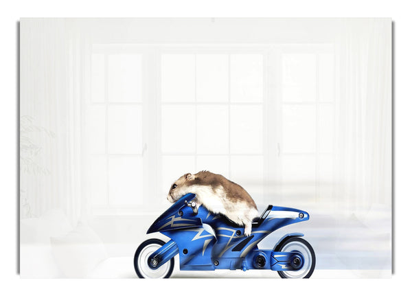 Mouse Riding Motorcycle