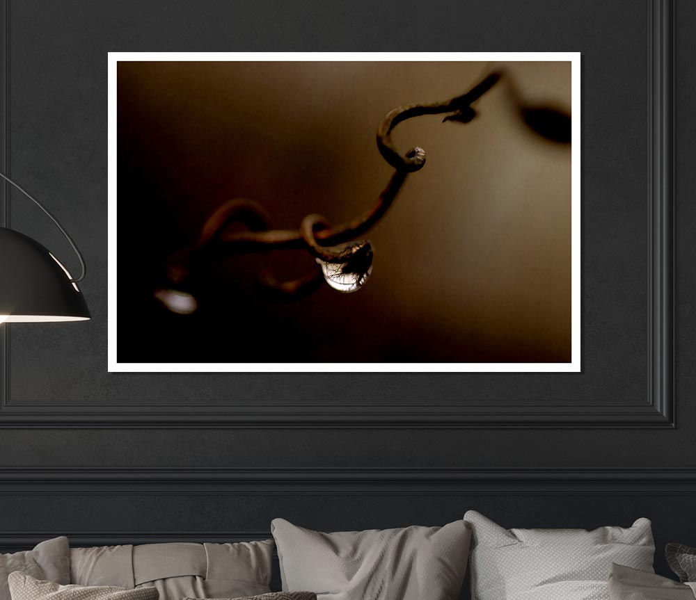 Drop Of Water Brown Print Poster Wall Art