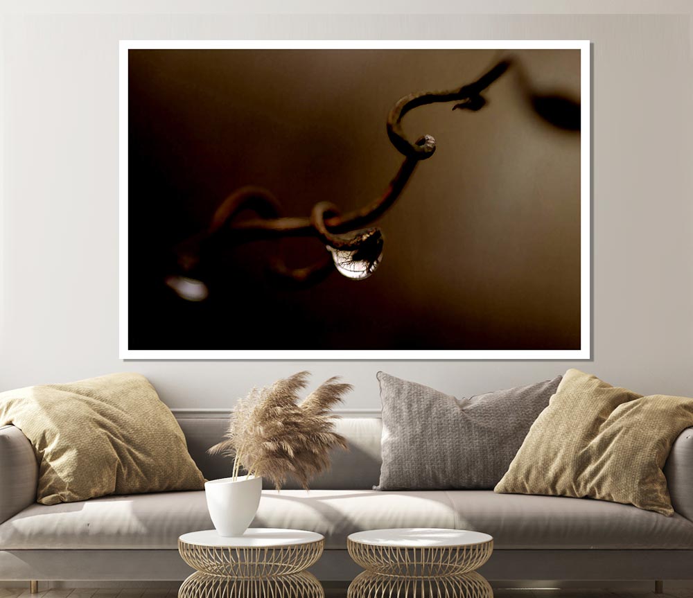 Drop Of Water Brown Print Poster Wall Art