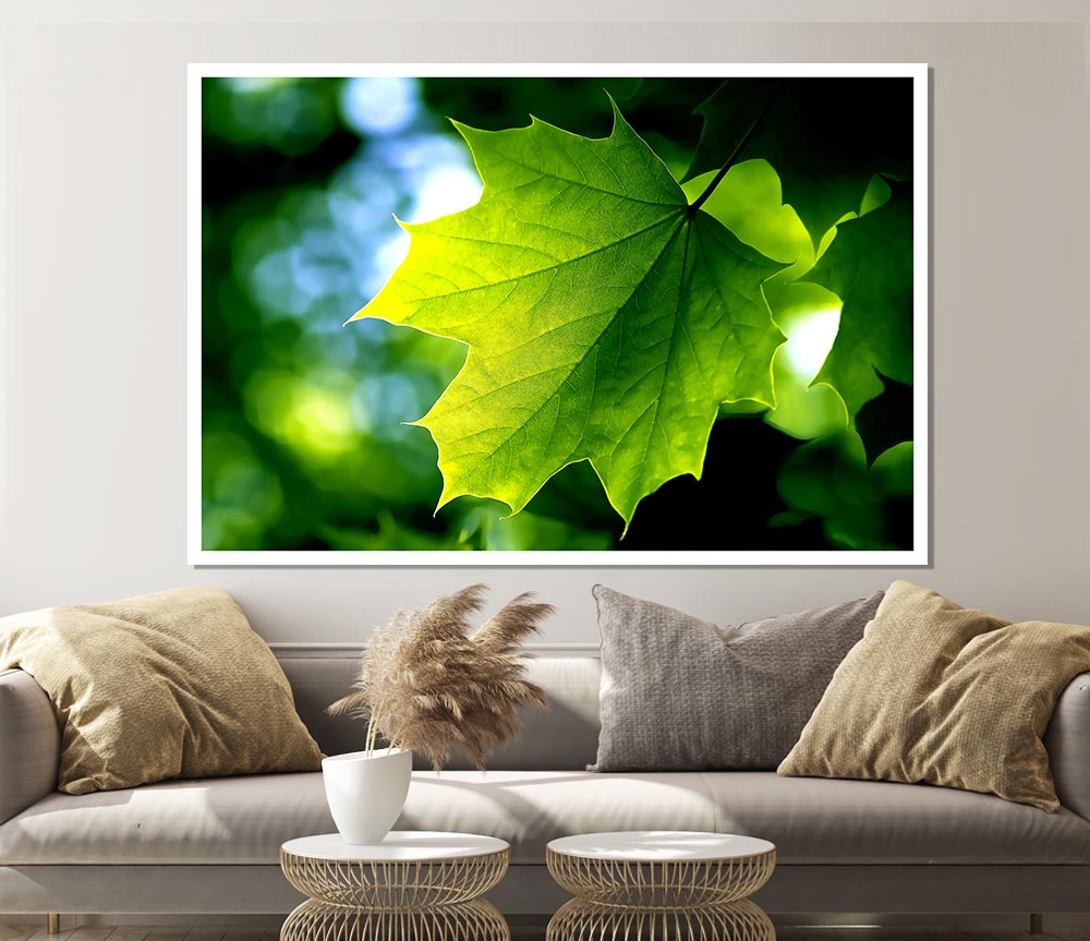 Green Leaf Print Poster Wall Art