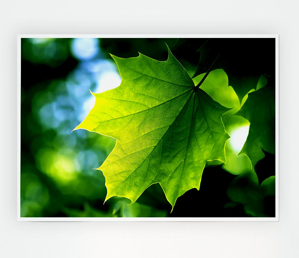 Green Leaf Print Poster Wall Art