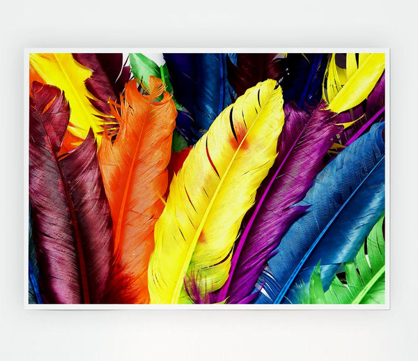 Feathers In Colours Print Poster Wall Art