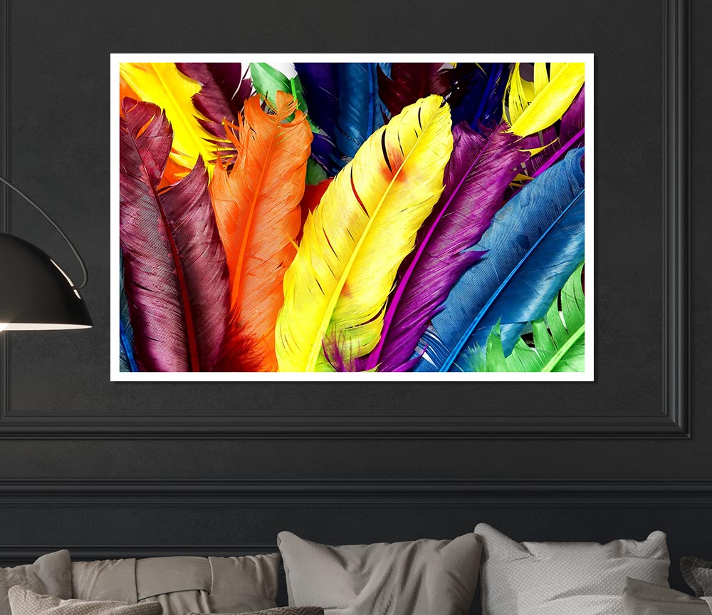 Feathers In Colours Print Poster Wall Art