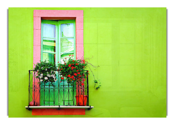 Green Wall Window