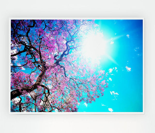 Blooming Spring Print Poster Wall Art