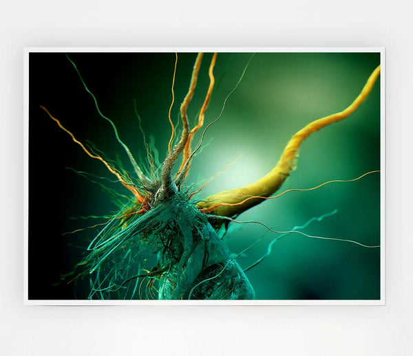 Bacteria Print Poster Wall Art