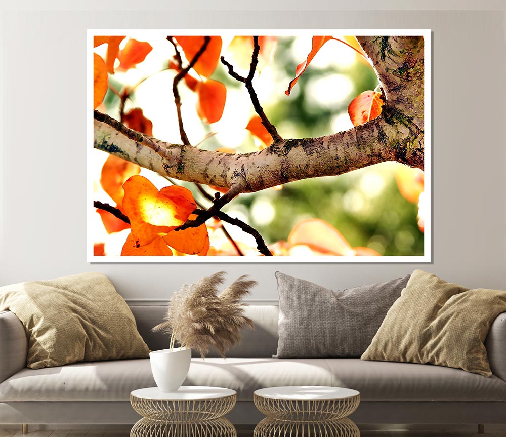 Fall Tree Print Poster Wall Art