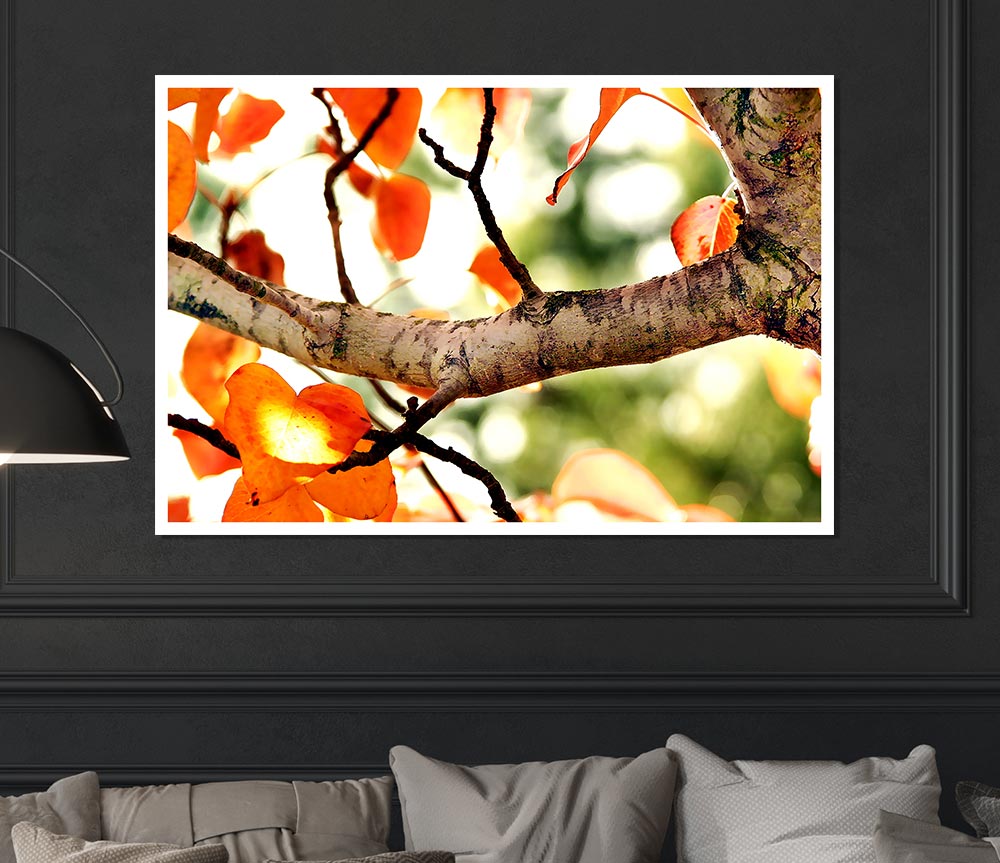 Fall Tree Print Poster Wall Art