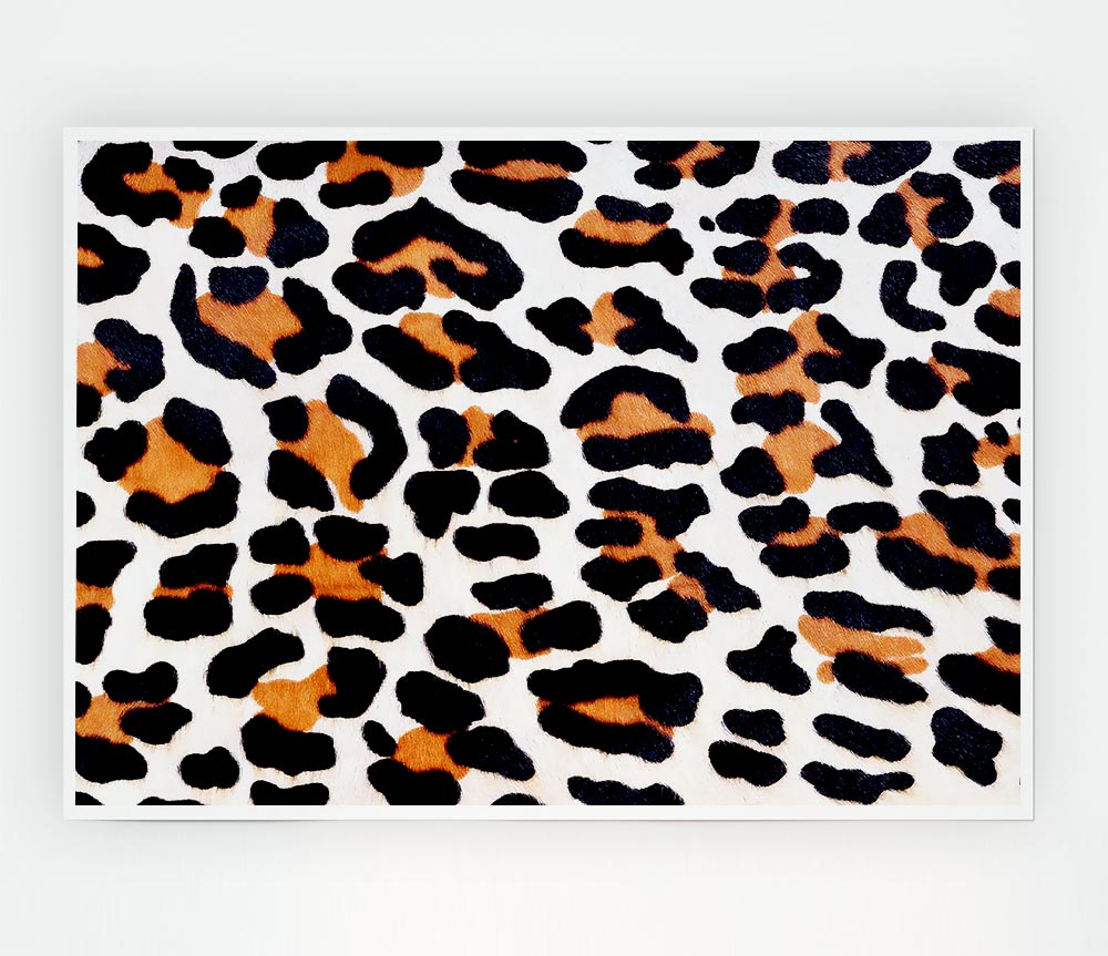 Animal Skin Print Poster Wall Art