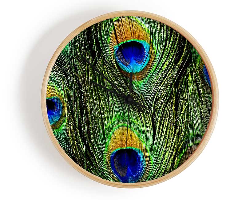 Peacock Feathers Clock - Wallart-Direct UK