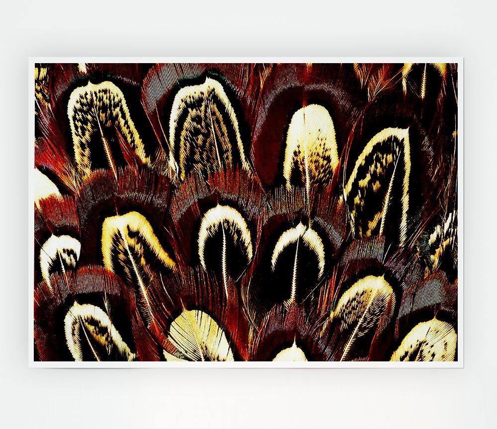 Feather Fan Print Poster Wall Art