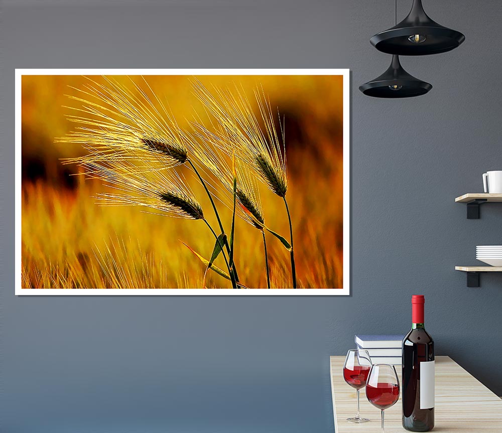 Wheat In The Golden Sunlight Print Poster Wall Art