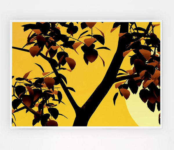 Branches In Sunlight Print Poster Wall Art