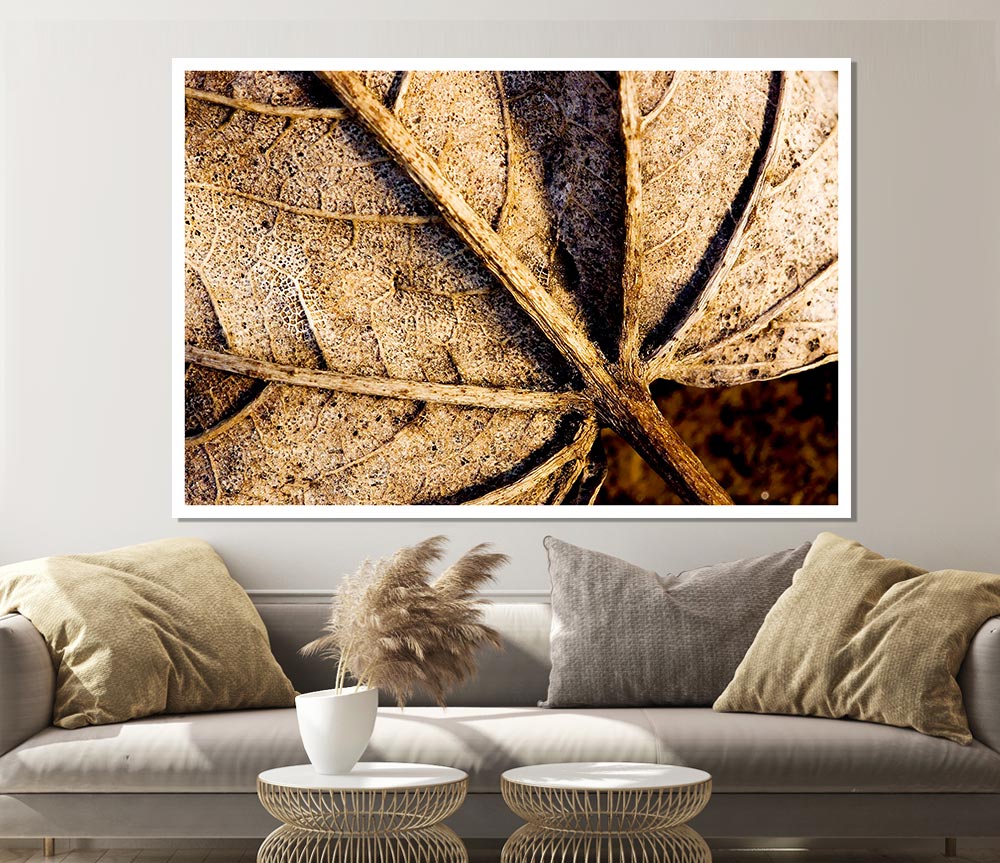 The Life Of A Leaf Chocolate Print Poster Wall Art