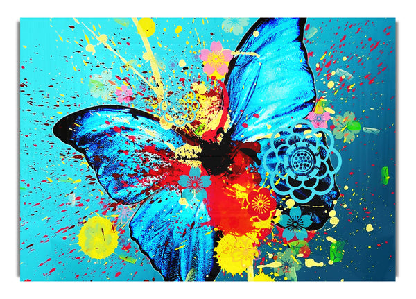 Butterfly Splash