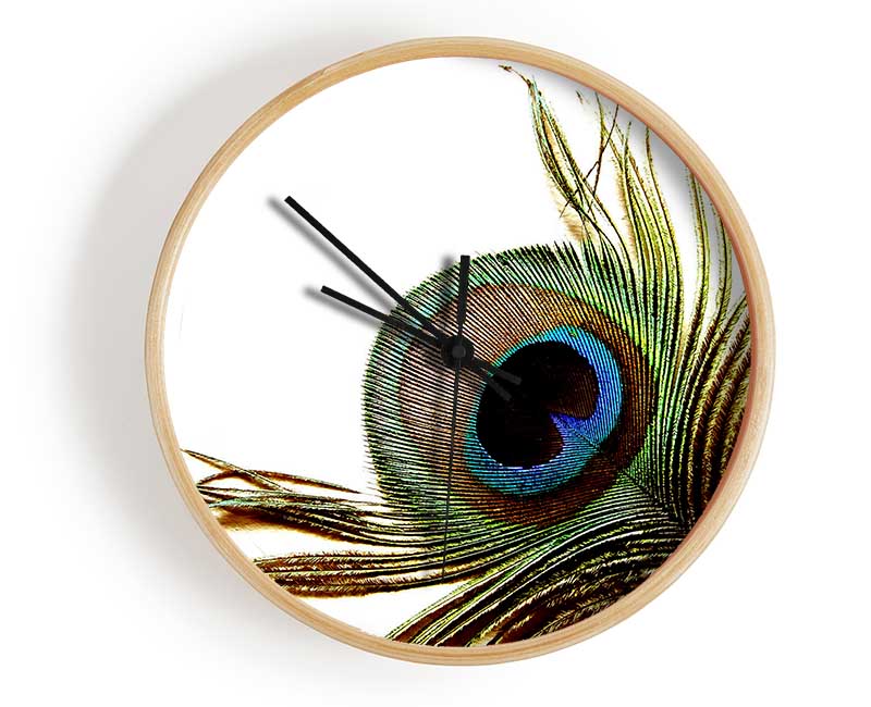 Peacock Feather Close-Up Clock - Wallart-Direct UK