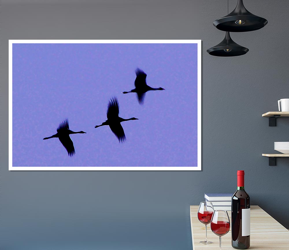 Geese Trio In Flight Purple Print Poster Wall Art