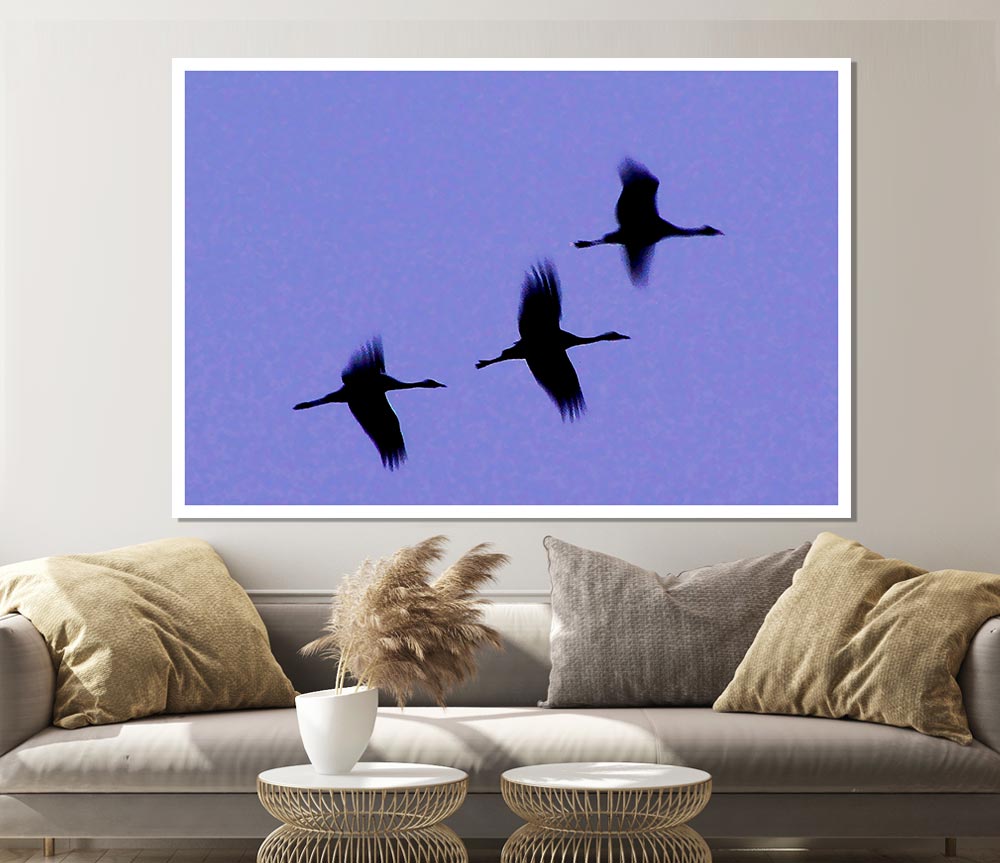 Geese Trio In Flight Purple Print Poster Wall Art